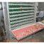 Mexico Poultry Farm A Type Battery Layer Chicken Cage with 90 Birds with Automatic Feeding Machine