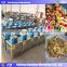 Commercial CE approved Conch Noodle Forming Machine Shell Pasta Making Machine Spaghetti Pasta Extruder Machine