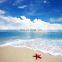 hot sales 3d wall paper and tile floor tile ceramic