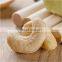 White Raw Cashew Nuts from Byloo to usa