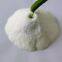 Modified starch ，industrial grade， dry powder