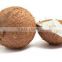 Vietnam Desiccated Coconut Medium Fat (Medium Grade) - HIGH QUALITY, COMPETITIVE PRICE!!!