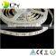 2016 China Supplier Waterproof 5050 24v Led Strip 5m/roll in Stock Warm White