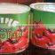 Specialized Production of Canned Tomato Paste, Africa, Middle East Quality, Complete Specification