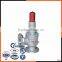 6000 psi 1/4" NPTRelef Valve