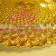 wedding Golden Glass Charger Plate