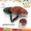 Superior Quality Reishi Mushroom Extract Wild Ganoderma Extract