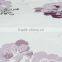 Sales Promotion Polyester Fiber Summer Quilt