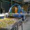 Ozone Fruit And Vegetable Washer