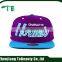 Customized Snapback hat Baseball Cap With 3D Embroidered Logo