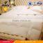 2x2.3m Comforter inner super soft microfiber down quilt 90% white down duvets duck feather duvet for dropship 5 stars hotel home