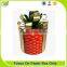 Mountain China supplier paper tube window