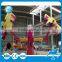 Great Fun!  from China amusement park thrill machine energy storm rides for sale