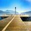 High Quality Scenery Digital Photograph Studio Backdrop