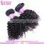 High quality peruvian hair weft tangle free shedding free wholesale pure kinky curly 14 inch peruvian hair