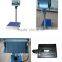 China guangzhou supplier 300kg platform scale weighing balance for sale