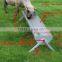 China supplier hot sale horse drinking trough/water feeder trough