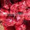 onion with hot price