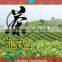 Assam Black Tea Price Low for Bubble Tea