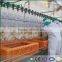 Halal Stainless Steel Poultry Abattoir and Slaughterhouse Machines and Equipment