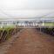 anti bird net for farming