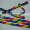 Rainbow pet products / pet dog leashes and collars