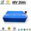 Rechargeable OEM 24v 10ah Lifepo4 Battery Pack 48v 20Ah Lifepo4 Battery Pack With BMS Charger