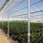 RoughBrothers PolyArch-RD2 Muli-span Galvanized Steel Frame vegetable and flower greenhouse