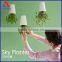 Top hot ROsH plastic nursery pots