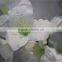 artificial flowers wholesale plastic cape jasmine flower