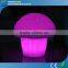 Colorful LED Festival Decoration With Remote Control