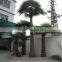 SJ2017200010 Hot Sale Fake Plastic Washington Palm Tree for Outdoor