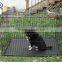 Wholesale Unique Iron Metal Wire Dog Cage From Caizhu Factory