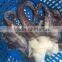 wholesale illex squid head tentacle sleeve fish to exporter