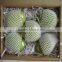 EPE Plastic Fruit Foam Mesh Wrap for Fresh Guava