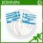 2 Sides Printed Toothpick Wood Flag