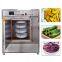 Industrial Vegetable Dryer Machine