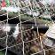 Galvanized Garden Sports Ground Diamond Wire Mesh Chain Link Fence