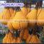 Water Bags for Load Testing of Cranes Capacity=10 Ton 20 Ton