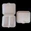 CT5 Factory Customize Disposable Hinged Lid Clamshell blister food container for buger noodles