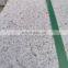 Cheap yellow granite stone exterior wall cladding 60x30cm