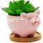 Top Fashion Flower Pot Decor Modern Indoor Terracotta Color Animal Succulent Small Planter Pot
