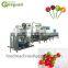 Automatic flat lollipop making machines production line machine