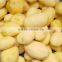 Large Potato Drum cleaning and polishing machine/carrot washing and polishing machine