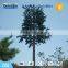 camouflaged telecom tree tower, palm tower