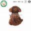 OEM factory plush dog toy Animal stuffed dog toy