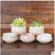 2016 Small ceramic & Enamel table garden pot table flower pot for succulent plants