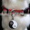 Collars Leashes pet tag Type metal pet id tag
