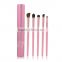 Hot 5 pieces makeup brush for eyeshadow with constellation aluminum case