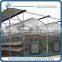 High Quality Plastic Green house